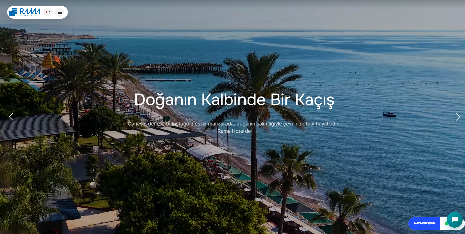 Web Tasarım